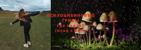 герыч Медвежьегорск