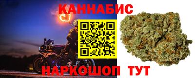 apvp Нальчик
