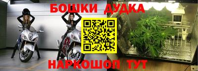 apvp Нальчик