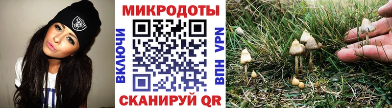 Галлюциногенные грибы Psilocybe  Югорск 
