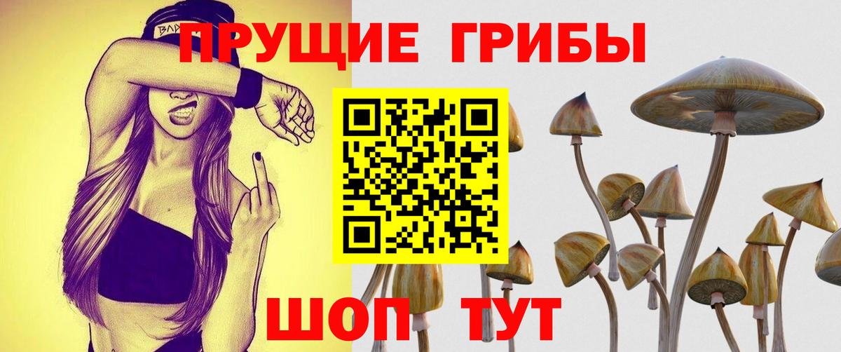 Югорск  Псилоцибиновые грибы Magic Shrooms  Вход с VPN 